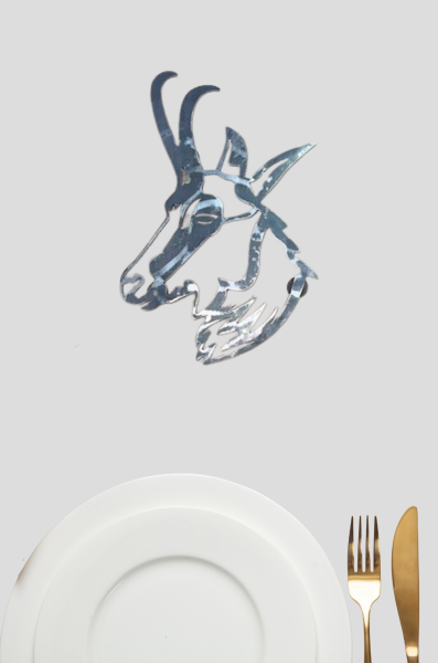 AR0019 DP CHAMOIS POSITIF 